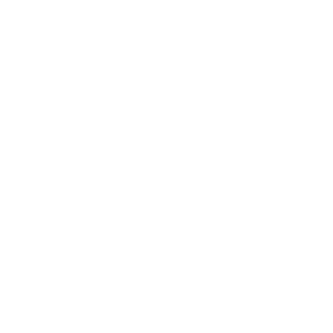ICIO Logo
