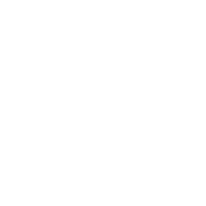 IDC Logo