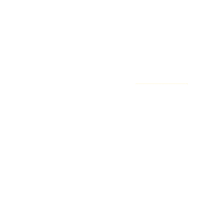Intelligent CISO